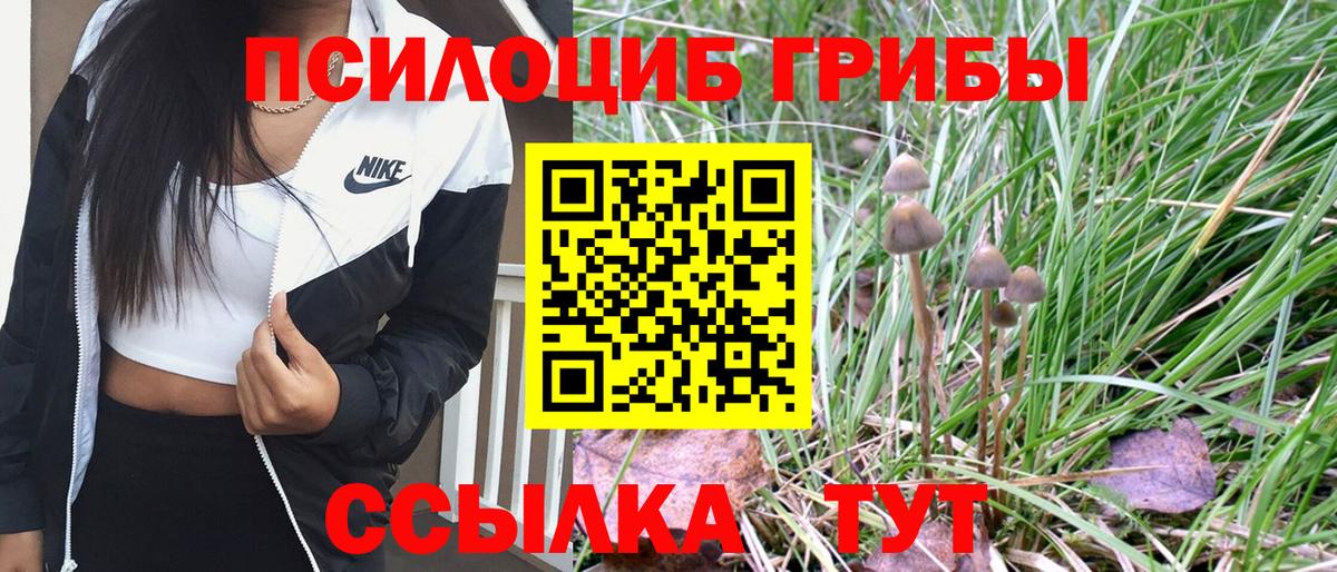 Галлюциногенные грибы Psilocybe  Вход с VPN  Рубцовск 